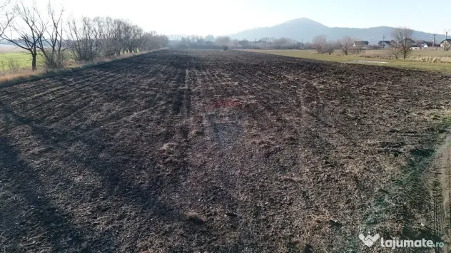 Teren extravilan cu potențial ridicat | Rezidential/Indu...