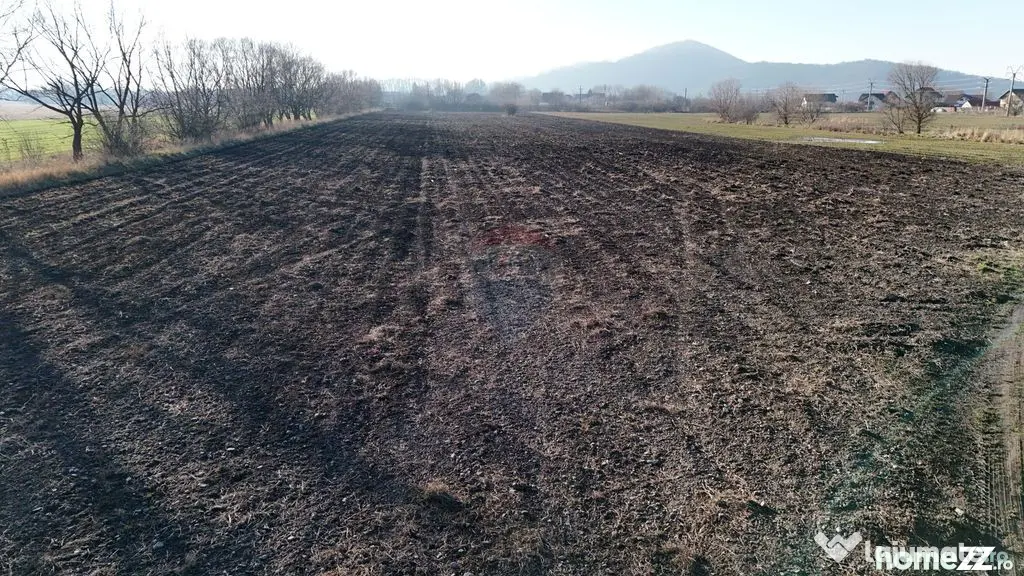 Teren extravilan cu potențial ridicat | Rezidential/Indu... - Harman (Brasov)