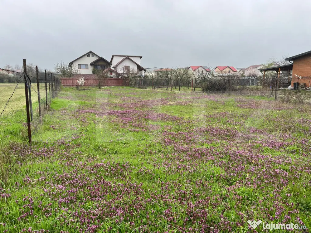 Teren 650 mp, front 13 ml, Selgros - zona Little Town