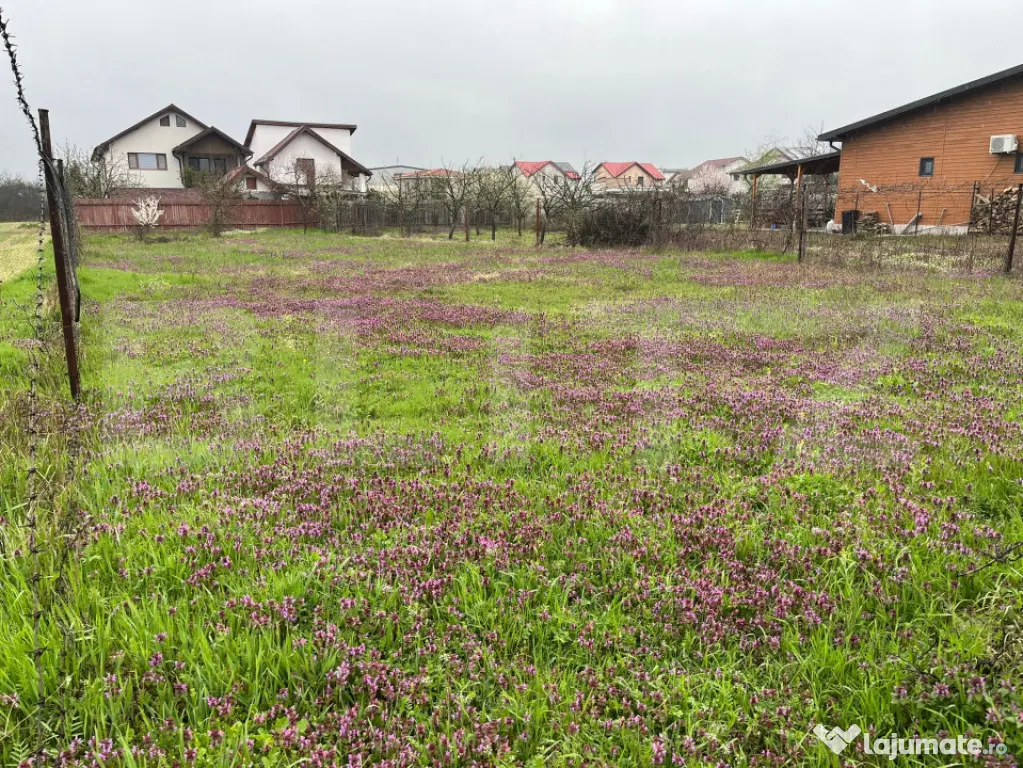 Teren 650 mp, front 13 ml, Selgros - zona Little Town