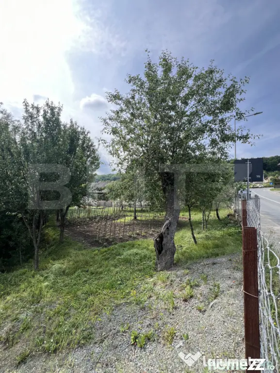 Casa pe 3 nivele si 13 arii teren - Bistrita (Bistrita-Nasaud)