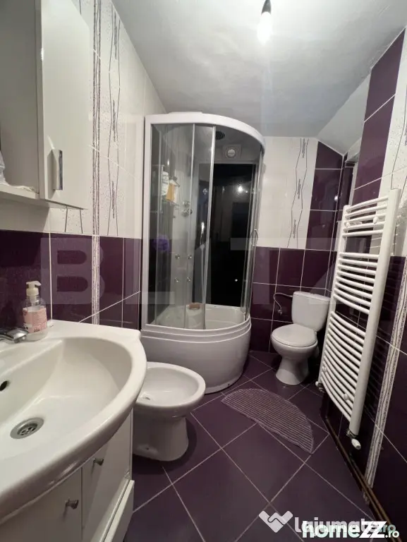 Casa pe 3 nivele si 13 arii teren - Bistrita (Bistrita-Nasaud)