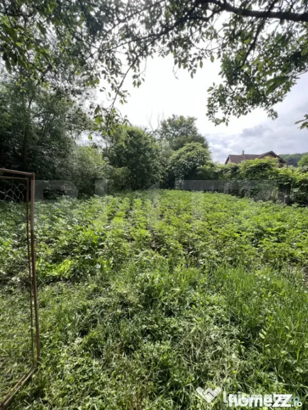 Casa pe 3 nivele si 13 arii teren - Bistrita (Bistrita-Nasaud)