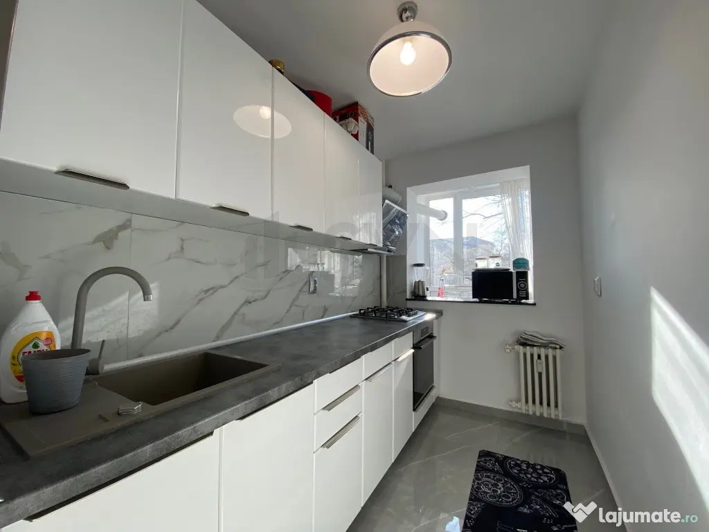 Apartament 2 camere I Piata Victoriei I Renovat I Metrou