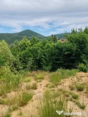 Teren intravilan Băița, Tăuții-Măgherăuș – panoram? 