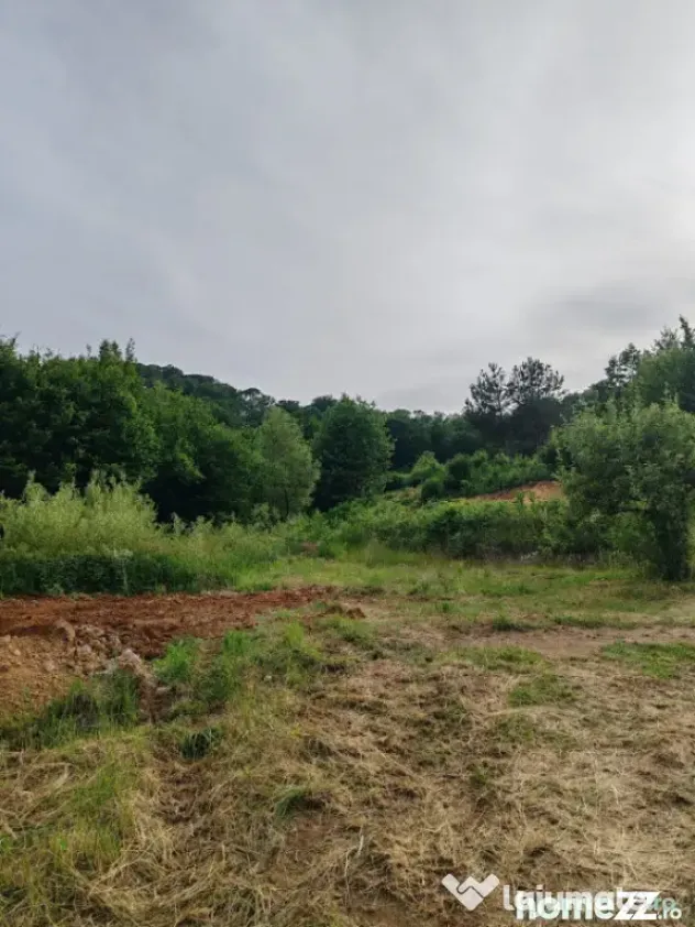 Teren intravilan, 900 mp, panoramă, zona Băița - Tăuții