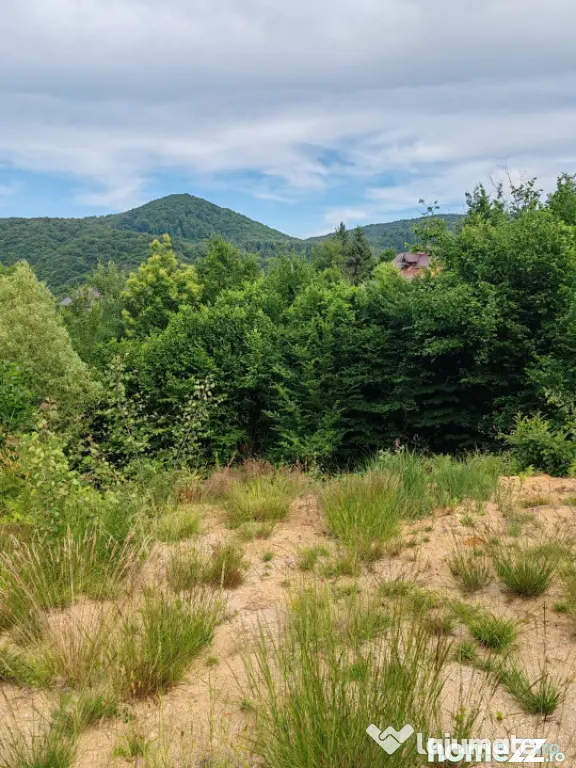 Teren intravilan, 900 mp, panoramă, zona Băița - Tăuții