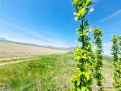 Oportunitate investitie! Teren 47.577 mp, Codlea . Ghimbav, 