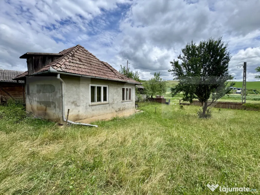 Vand casa 50 mp utili, 5000 mp teren in sat Draculea Bandulu