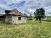 Vand casa 50 mp utili, 5000 mp teren in sat Draculea Bandulu 