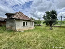Vand casa 50 mp utili, 5000 mp teren in sat Draculea Bandulu