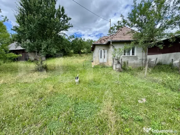 Vand casa 50 mp utili, 5000 mp teren in sat Draculea Bandulu