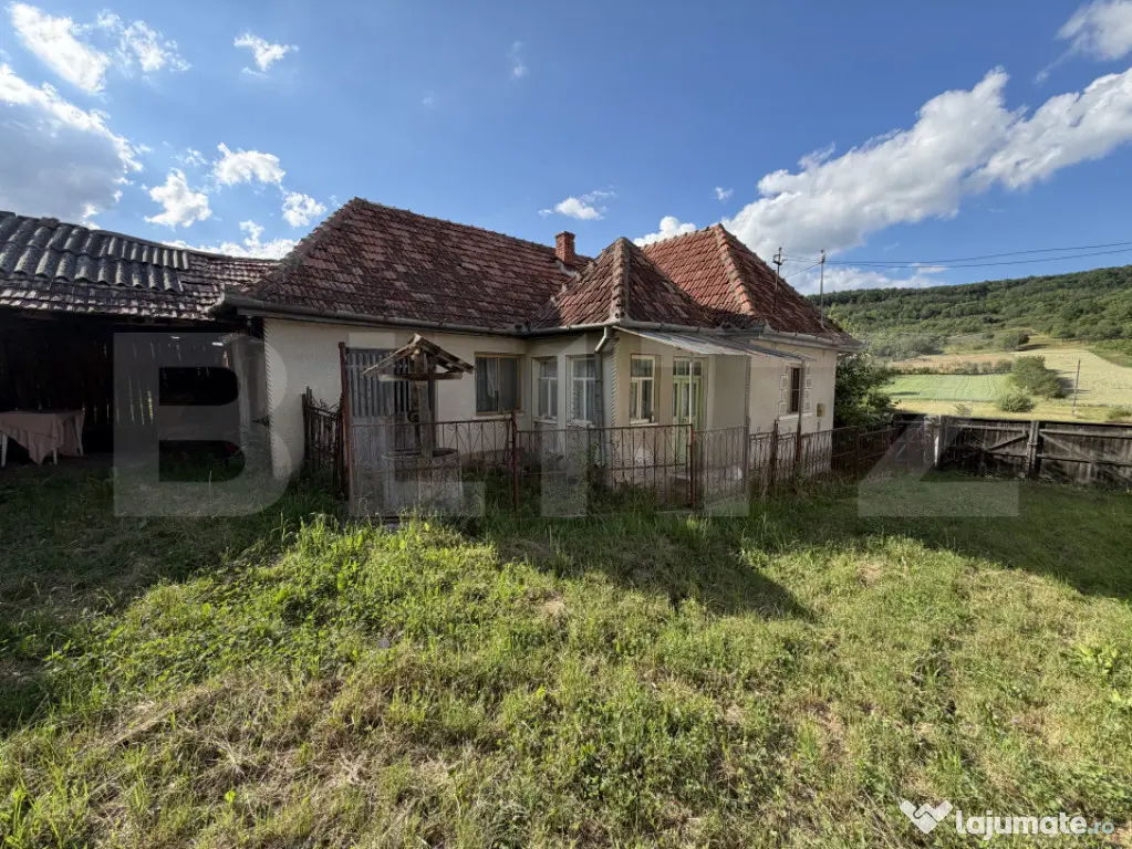 Casă cu 3 camere și un teren de 4100 mp