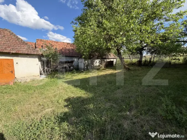 Casă cu 3 camere și un teren de 4100 mp