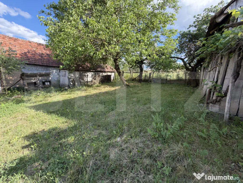 Casă cu 3 camere și un teren de 4100 mp