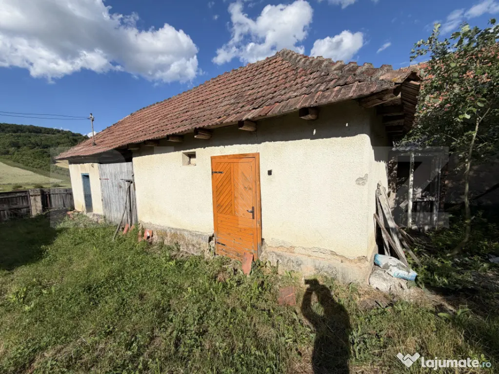 Casă cu 3 camere și un teren de 4100 mp
