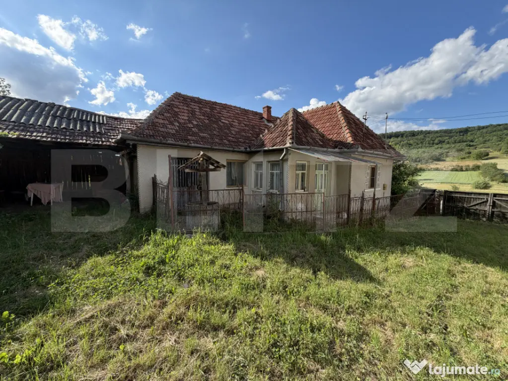 Casă cu 3 camere și un teren de 4100 mp