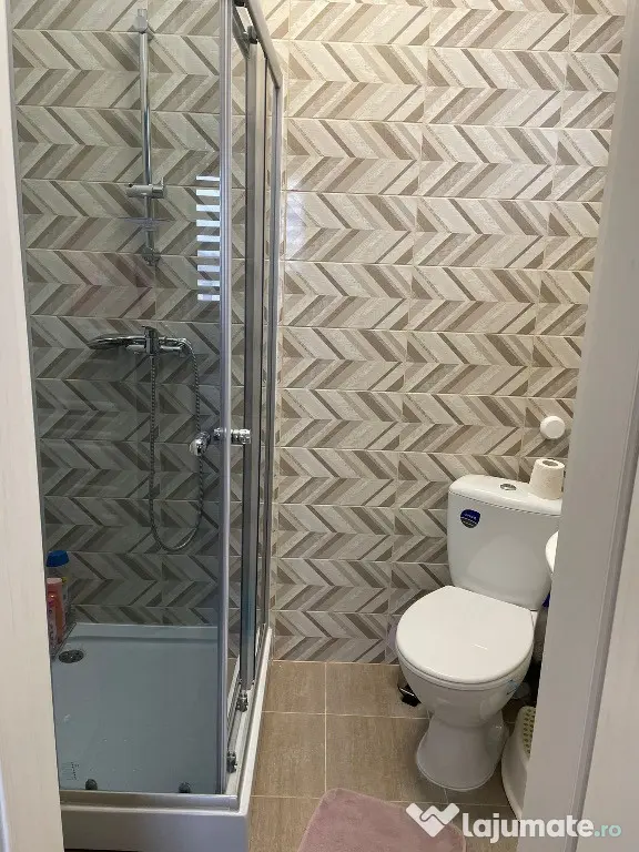 Apartamente 3 camere cu curte in vila