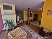 Faleza Nord casa P+1+M tip duplex 