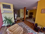 Faleza Nord casa P+1+M tip duplex 