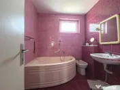 Faleza Nord casa P+1+M tip duplex 