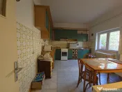 Faleza Nord casa P+1+M tip duplex 