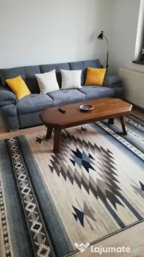 Apartament cu 2 camere de închiriat Centrul vechi
