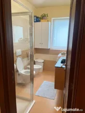 Apartament et.2 mobilat si utilat zona Porii Floresti