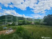 Cabană la roșu în Comuna Lupșa – Ideală pentru casă 