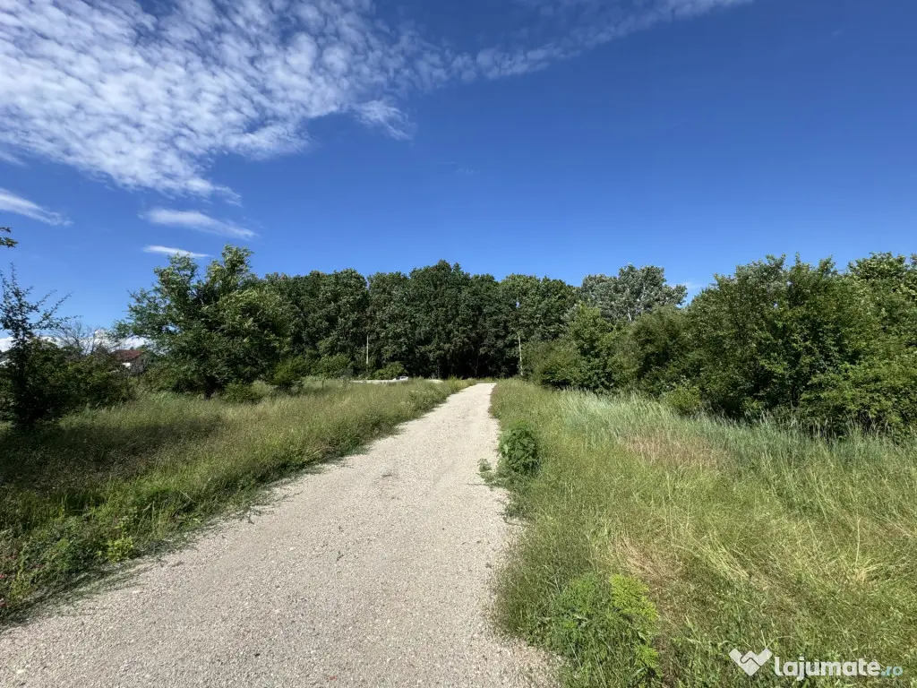Teren 2761mp Ordoreanu Ilfov | Langa Padure | Utilitati