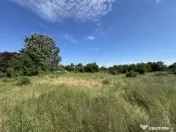 Teren 2761mp Ordoreanu Ilfov | Langa Padure | Utilitati