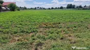 Teren intravilan 9.470 mp – Bolintin-Deal, locație 
