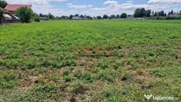 Teren intravilan 9.470 mp – Bolintin-Deal, locație