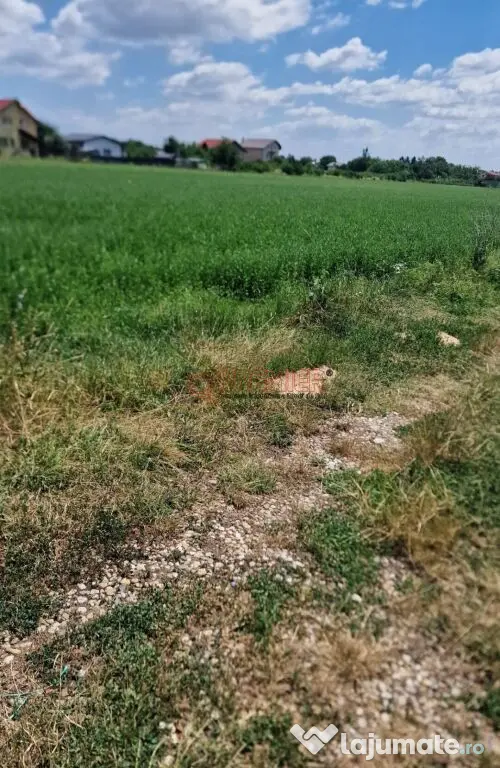 Teren intravilan 9.470 mp – Bolintin-Deal, locație