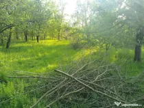 Terenuri intravilane pentru constructie casa in Simeria Veche