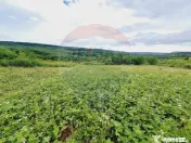 Teren 5,755mp Hidiselu de Sus / DN PRINCIPALA 