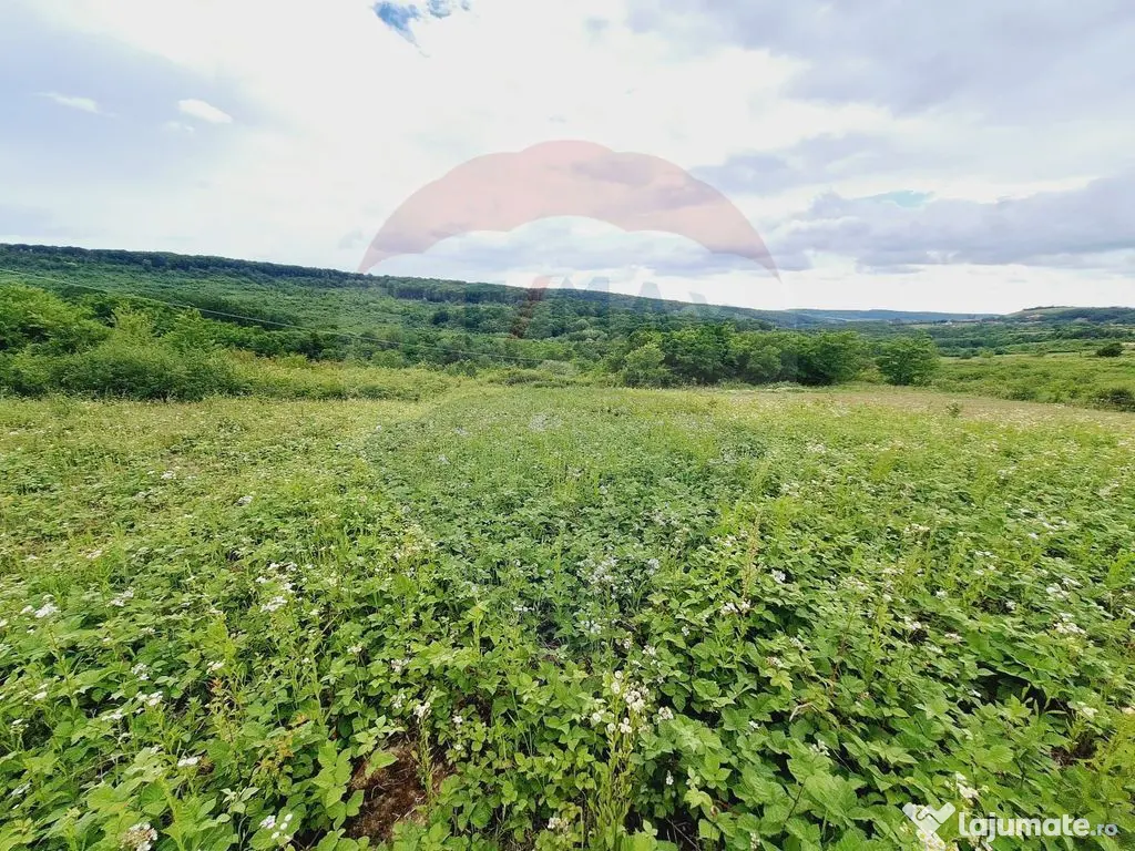 Teren 5,755mp Hidiselu de Sus / DN PRINCIPALA
