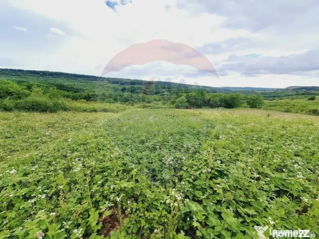 Teren 5,755mp Hidiselu de Sus / DN PRINCIPALA
