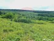 Teren 5,755mp Hidiselu de Sus / DN PRINCIPALA