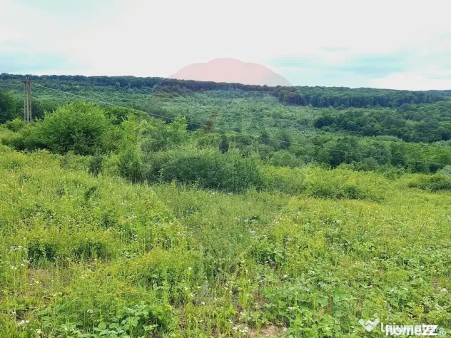 Teren 5,755mp Hidiselu de Sus / DN PRINCIPALA