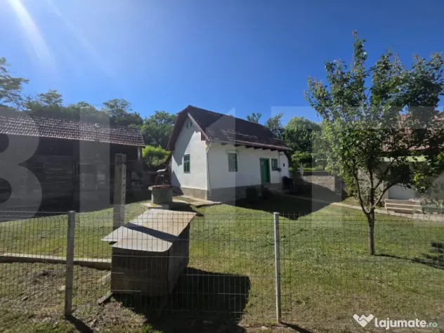 Casa traditionala din lemn, 40 mp, Sfântu Gheorghe