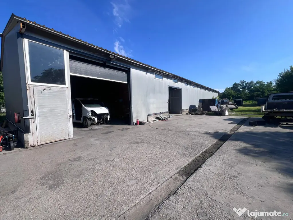 Service Auto Complet Echipat și Hală de Închiriat – Zon