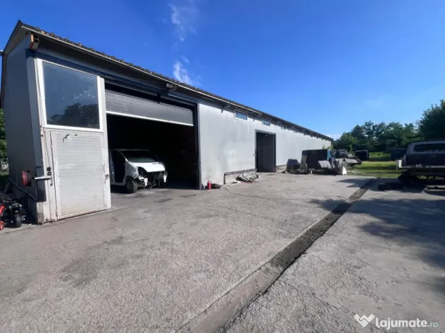 Service Auto Complet Echipat și Hală de Închiriat – Zon