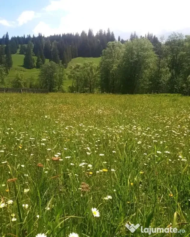 Teren la munte. Investitie de vacanta