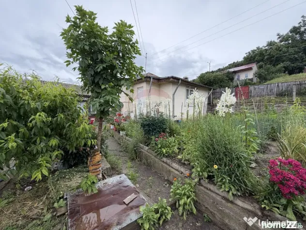 Casă de vânzare | Odobești | Necesită renovare - Odobesti (Vrancea)