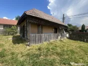 GRADINA BUNICII DE ODINIOARA,DE VANZARE -PAPAUTI,COVASNA. 