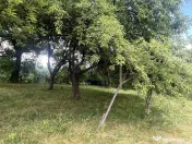 GRADINA BUNICII DE ODINIOARA,DE VANZARE -PAPAUTI,COVASNA. 