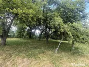 GRADINA BUNICII DE ODINIOARA,DE VANZARE -PAPAUTI,COVASNA. 