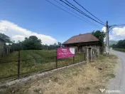 GRADINA BUNICII DE ODINIOARA,DE VANZARE -PAPAUTI,COVASNA. 