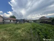 GRADINA BUNICII DE ODINIOARA,DE VANZARE -PAPAUTI,COVASNA. 